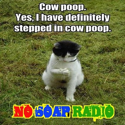 88_cowpoop