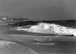 Surfbreak at The Wedge