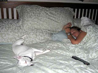 King Size, but no king