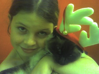 Christmas isn't merry for our cats