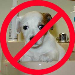 Just Say No